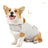 Cotton dog comfort pressure vest, available in 6 colours, image 2