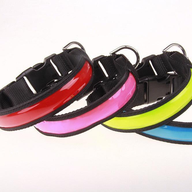 Reflective LED dog collars in red, blue, green and pink
