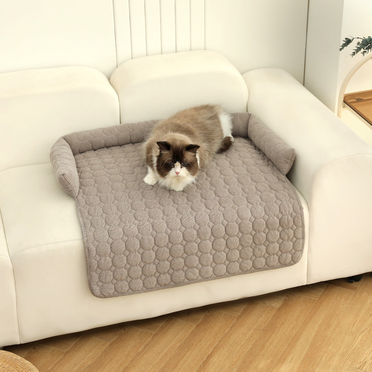 Corduroy pet sofa cushion for dogs and cats, main product photo