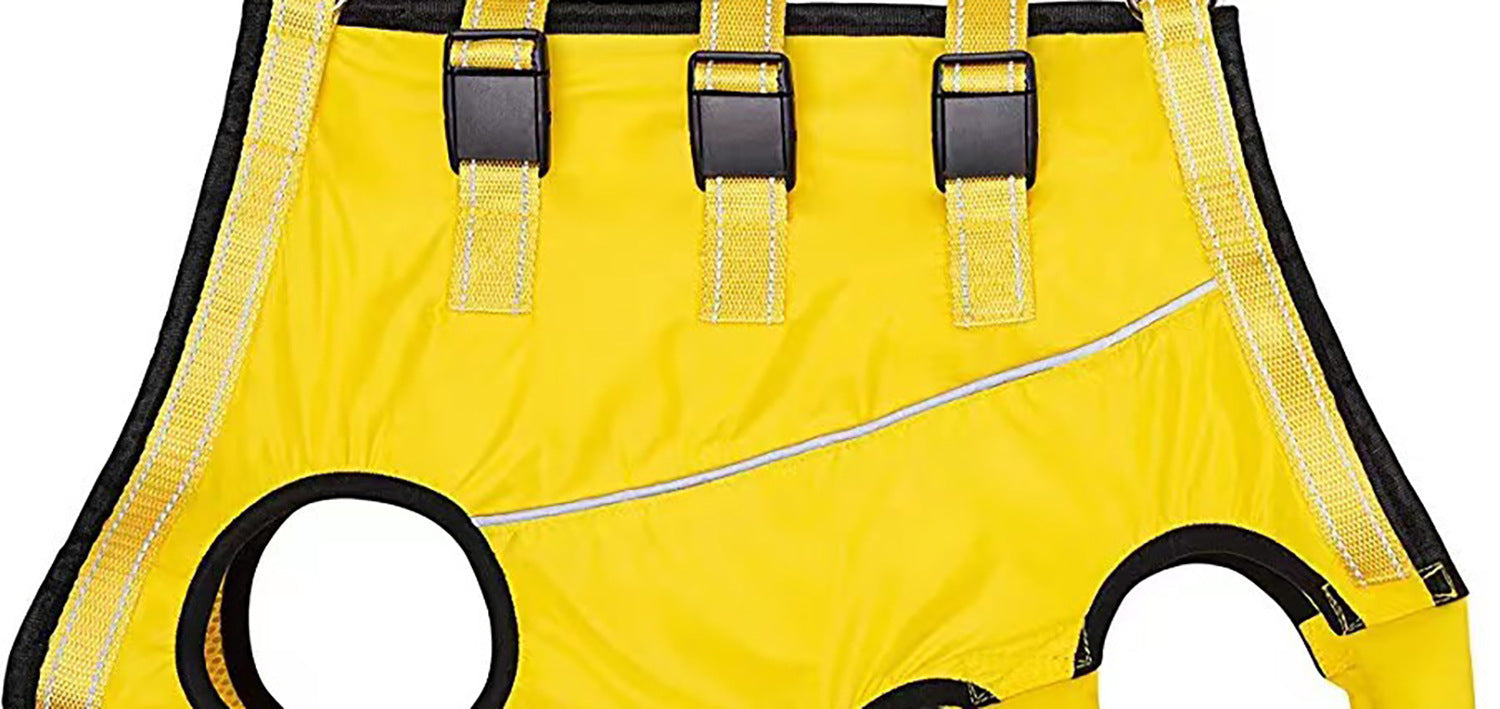 Orange hind leg support sling with handle for senior dogs, product image 15