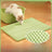 Double-layer EVA cat litter trapper mat, main product photo