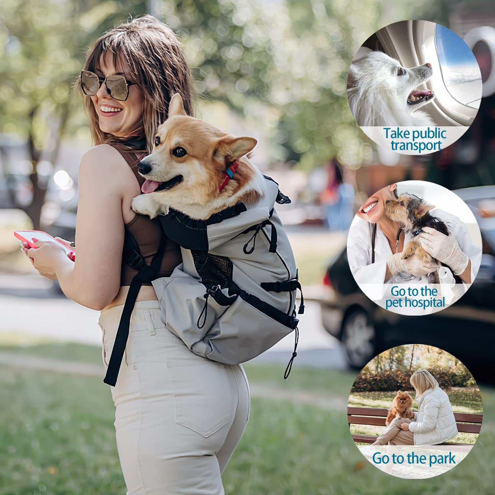 Oxford cloth pet backpack and chest carrier for small pets, product image 1