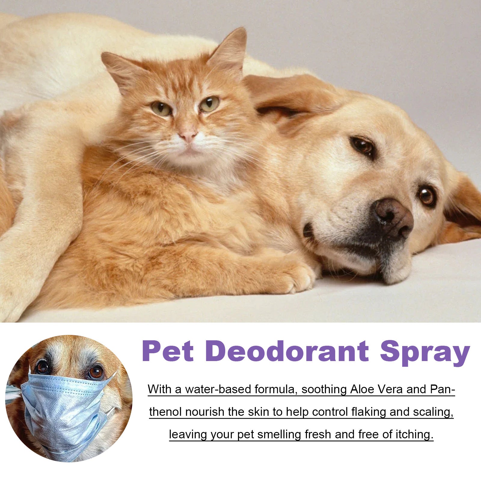 Pet Odour Eliminator Spray for Home, Urine and Stool Smells