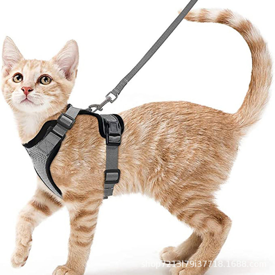 Mesh pet harness sets shown in eleven colours