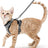 Mesh pet harness sets shown in eleven colours