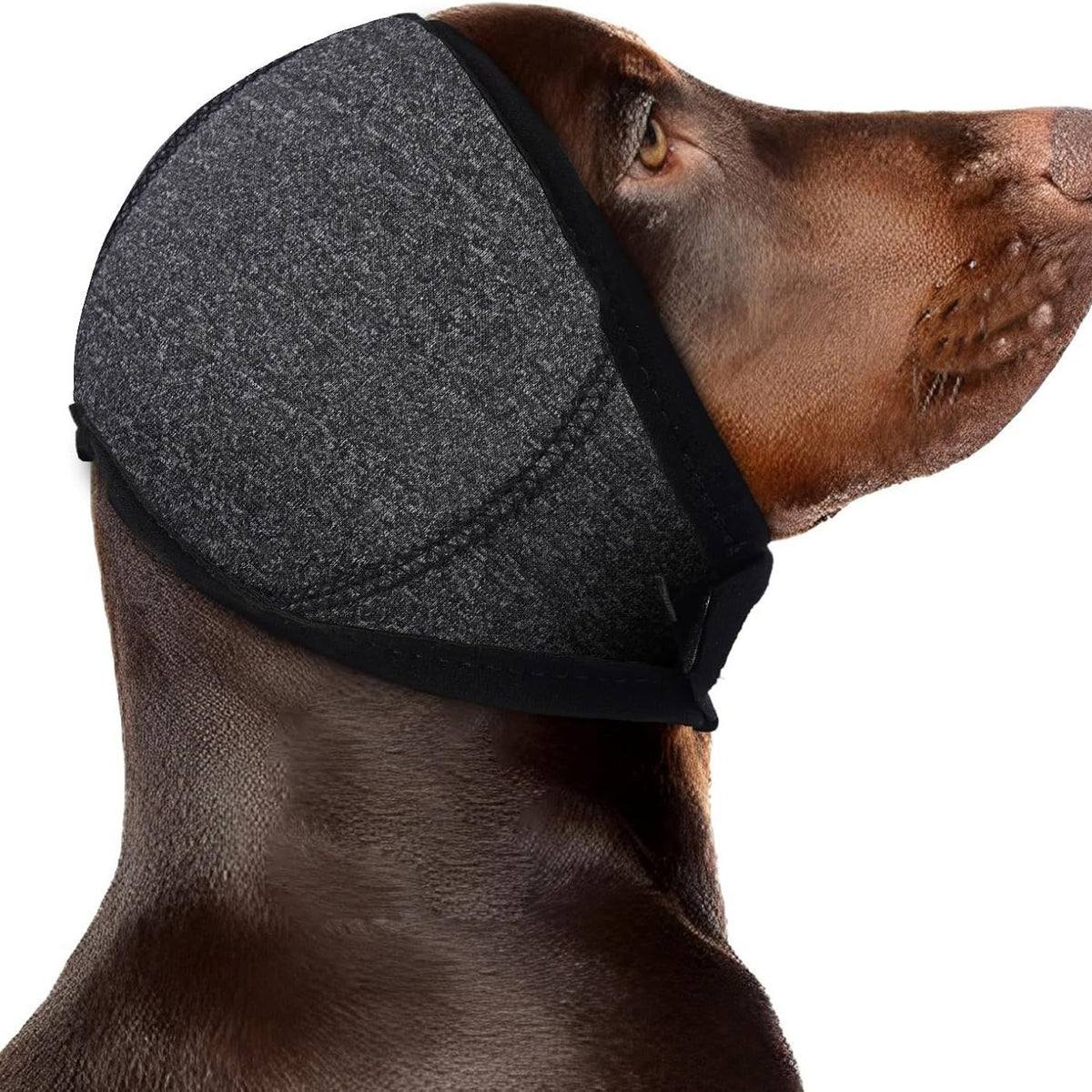Calming Dog Hood for Noise Reduction During Fireworks