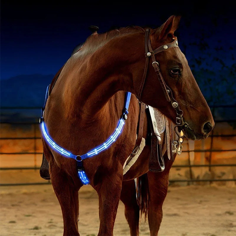 LED Light Up Adjustable Horse Chest Strap Rechargeable Nylon Safety Equestrian Gear with