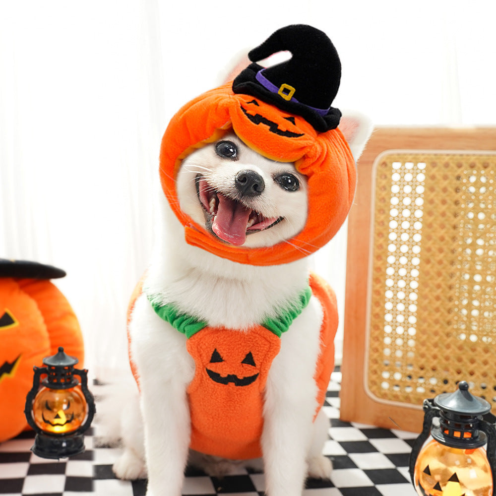 Pumpkin Halloween costume for dogs and cats in Padded Pumpkin, side view