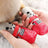 Waterproof silicone dog socks set of four, available in 3 colours, image 7