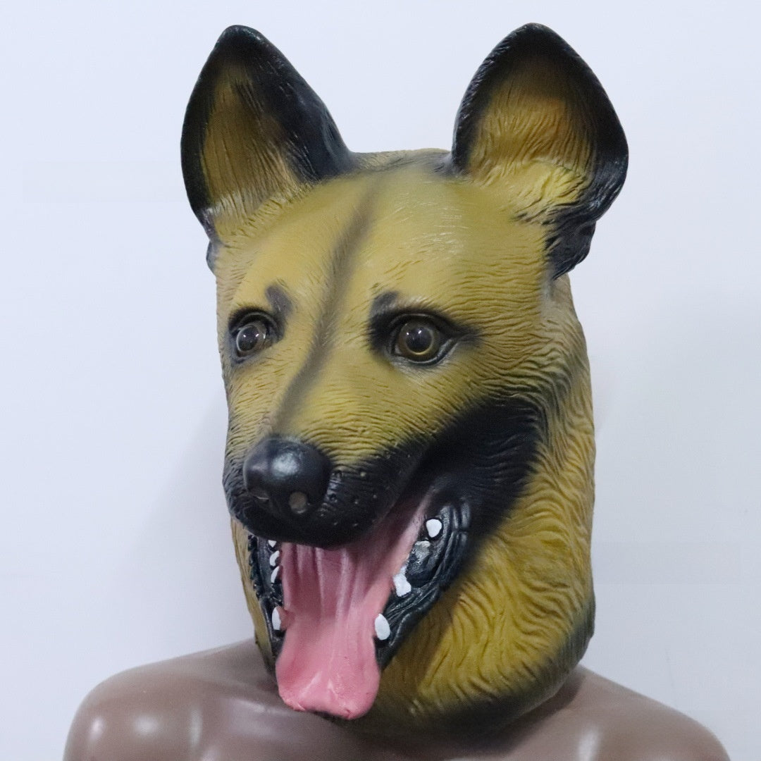 Latex dinosaur skull Halloween mask with movable teeth on a dog, view 13