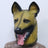 Latex dinosaur skull Halloween mask with movable teeth on a dog, view 13