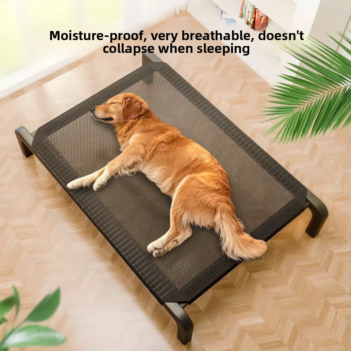 Elevated dog cot bed with removable washable cover, main product photo