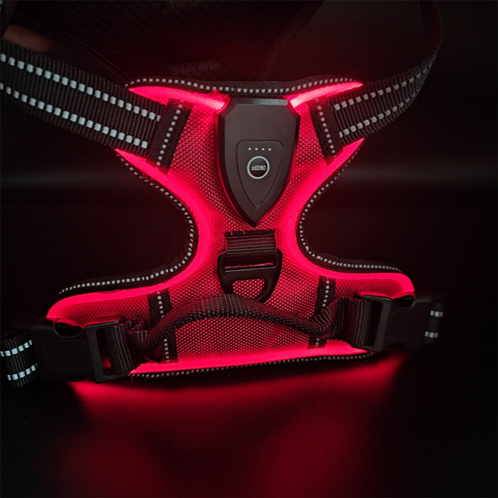LED light-up dog harness for night walks, alternative angle view