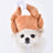 Funny Pet Halloween Costume