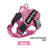 Padded vest dog harness, available from Pet Royale UK