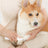 Anti-Jam Pet Hair Trimmer, Quiet Safety Blade Partial Shaver