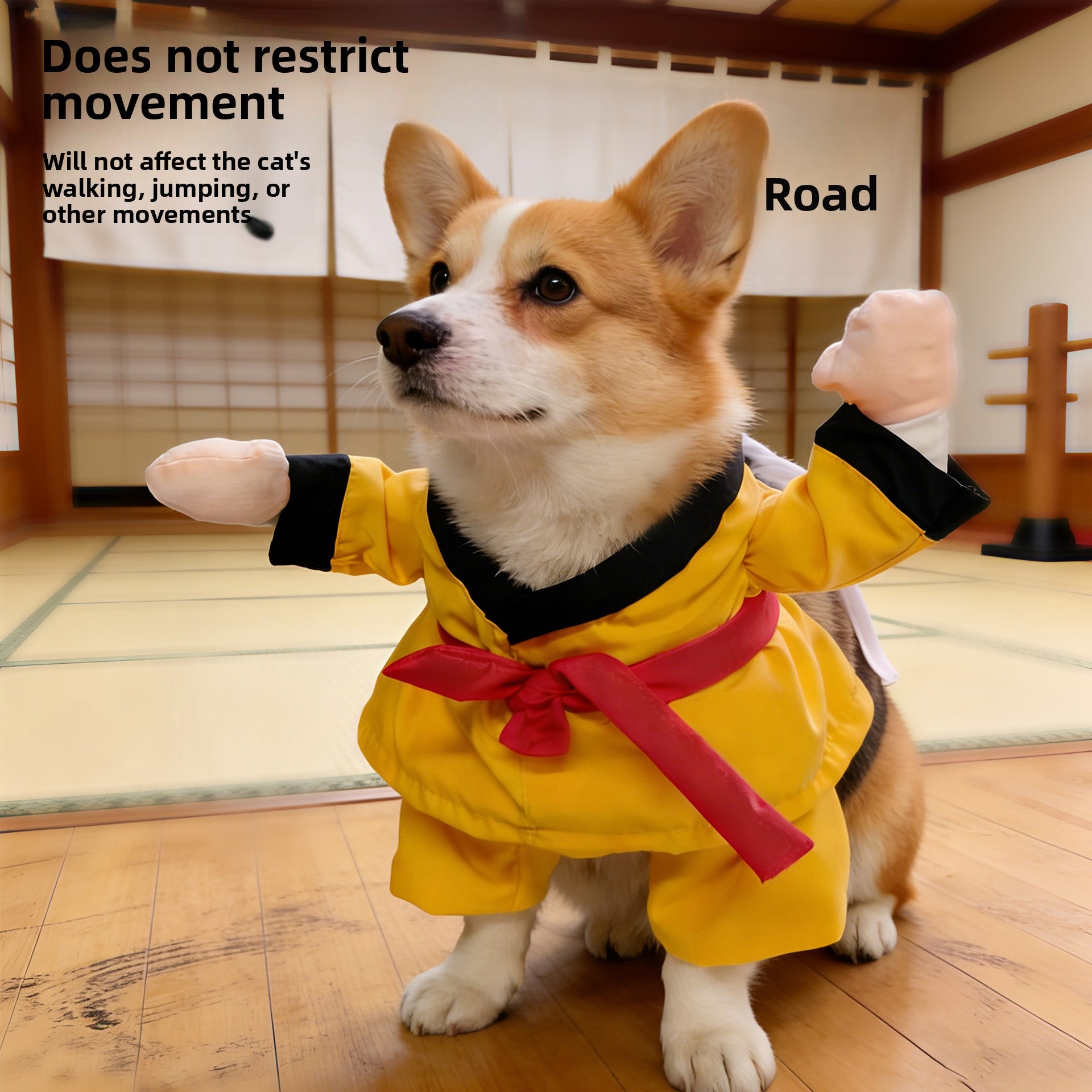 Funny pumpkin and spider Halloween costume for dogs and cats, image 27