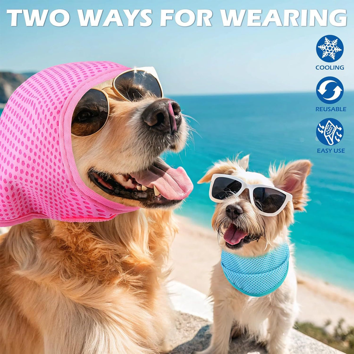 Dog wearing a two tone cooling bandana in sky blue
