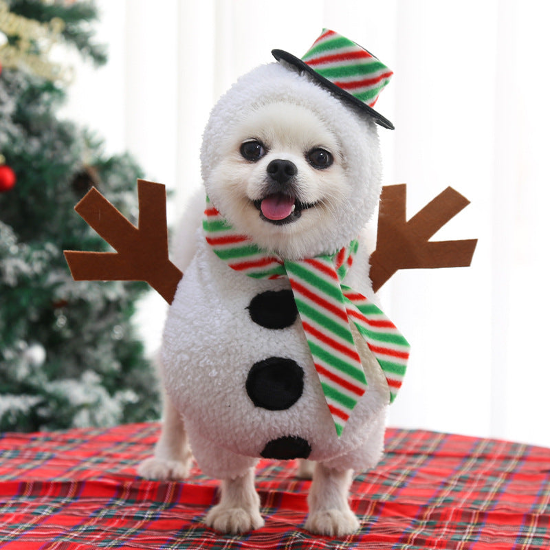 Dog dressed in a funny standing snowman costume