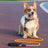 Reflective nylon dog lead, close-up detail view from Pet Royale UK