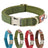 Padded dog collar with cotton lining in 10 colour options
