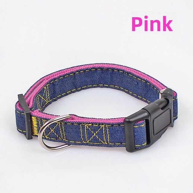 Soft red harness and lead on a small dog