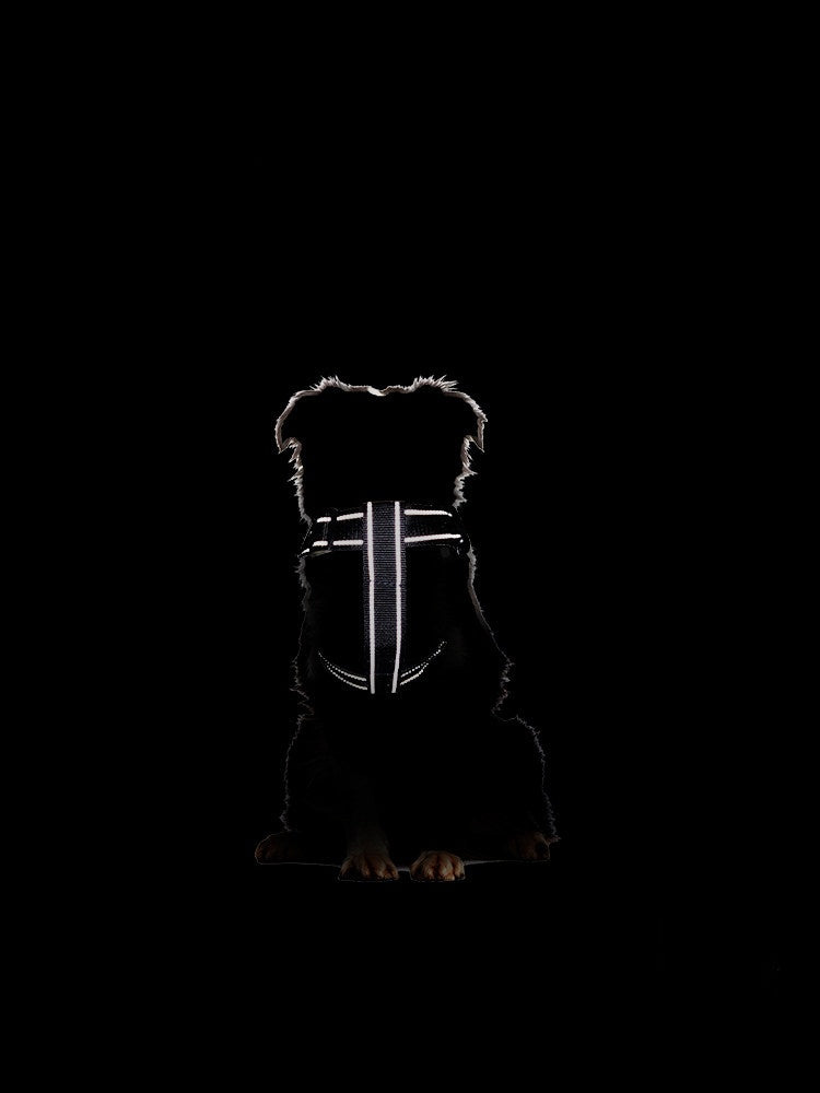 Padded vest dog harness, ideal for everyday use