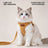 No-choke chest and back harness with lead, available from Pet Royale UK