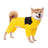 Four-leg waterproof raincoat for large dogs in Black, showing size and shape