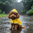 Reversible reflective dog raincoat, available in 2 colours, sizes Extra Small to 5XL, image 4