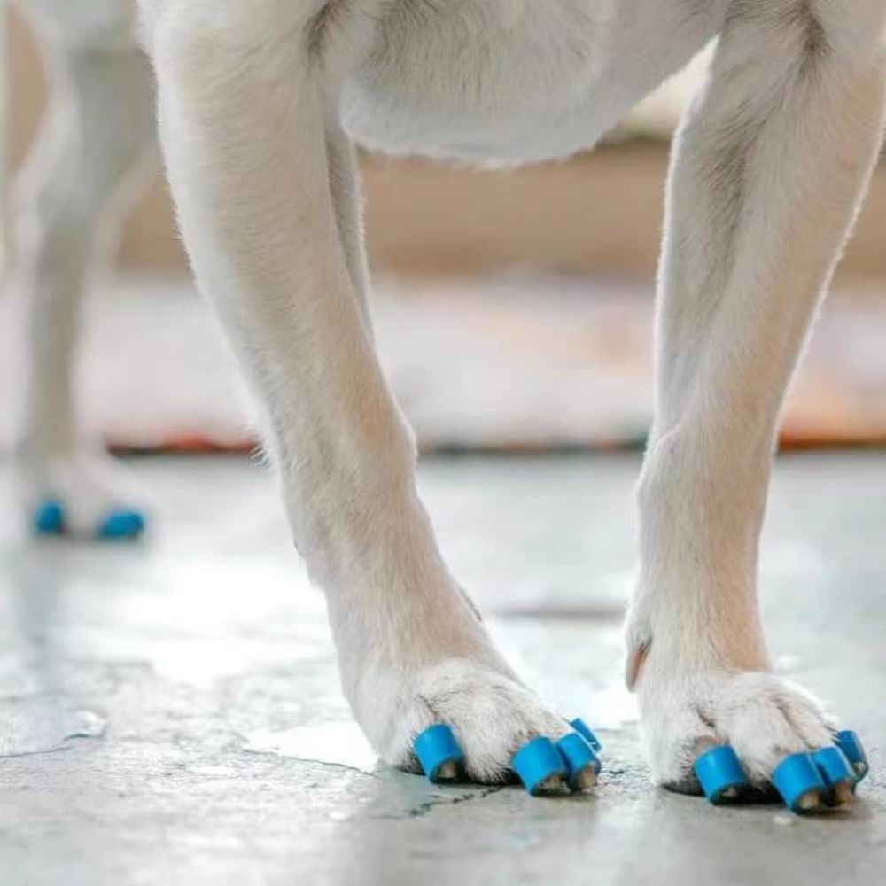 Soft Dog Nail Caps, Plastic Claw Covers to Prevent Scratching