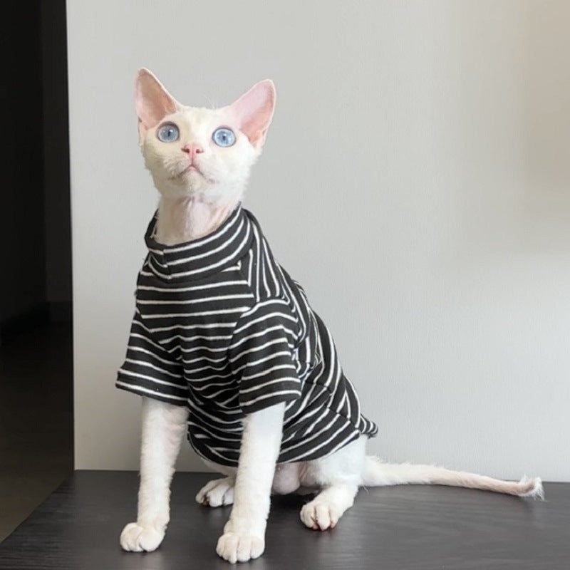 Warm cat jumpers for hairless breeds in black, green and purple
