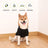 Plain polyester dog sweatshirt, available in 5 colours, sizes Extra Small to 9XL, image 2
