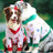 Elbow protection dog pyjamas for large dogs in Golden Osmanthus Rabbit, side view
