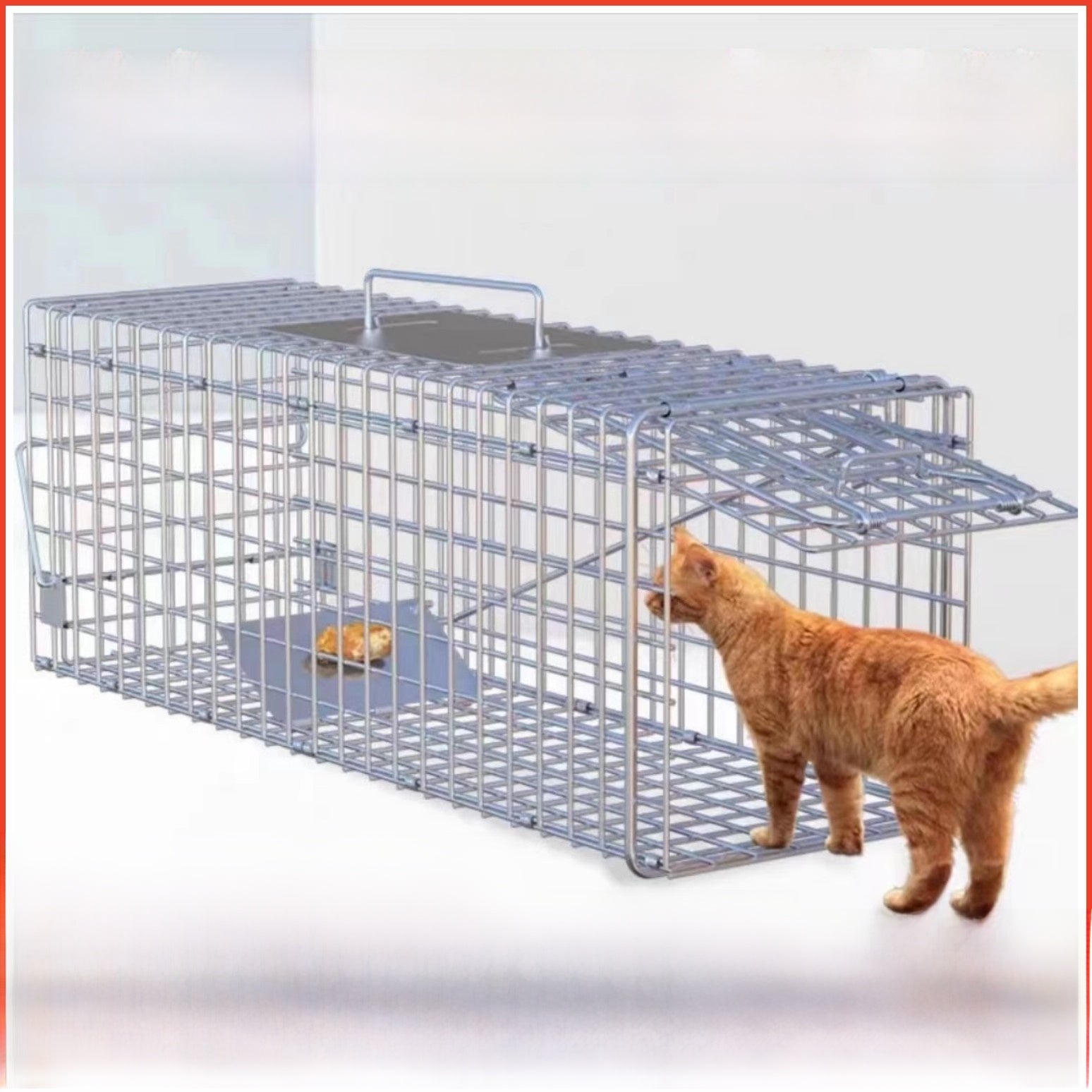 Foldable humane cat trap cage in Black, size Medium 60 x 20 x 18cm