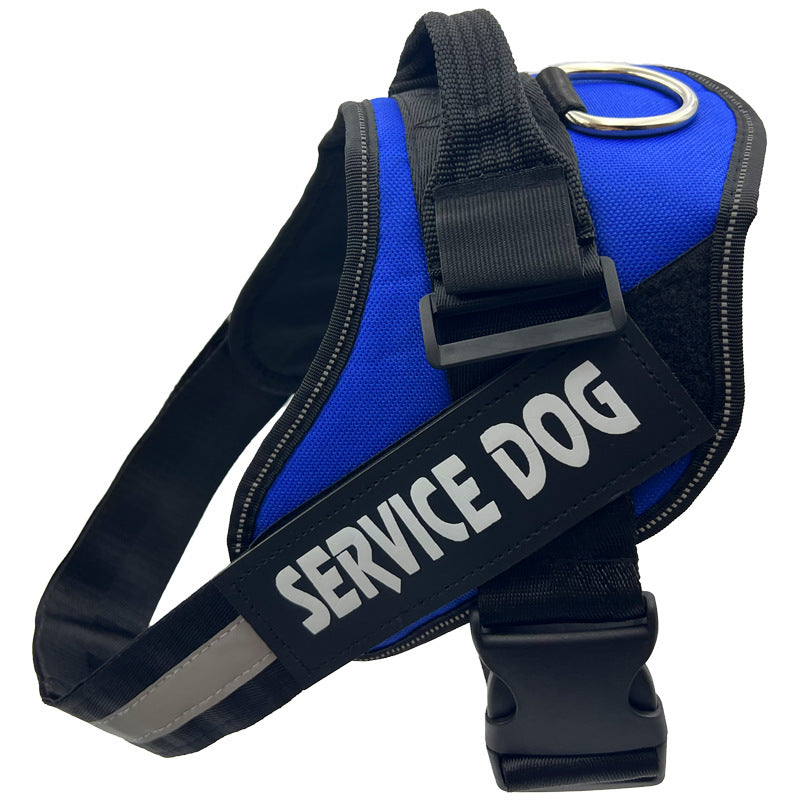 Reflective nylon dog harness with lead in blue, product image 2