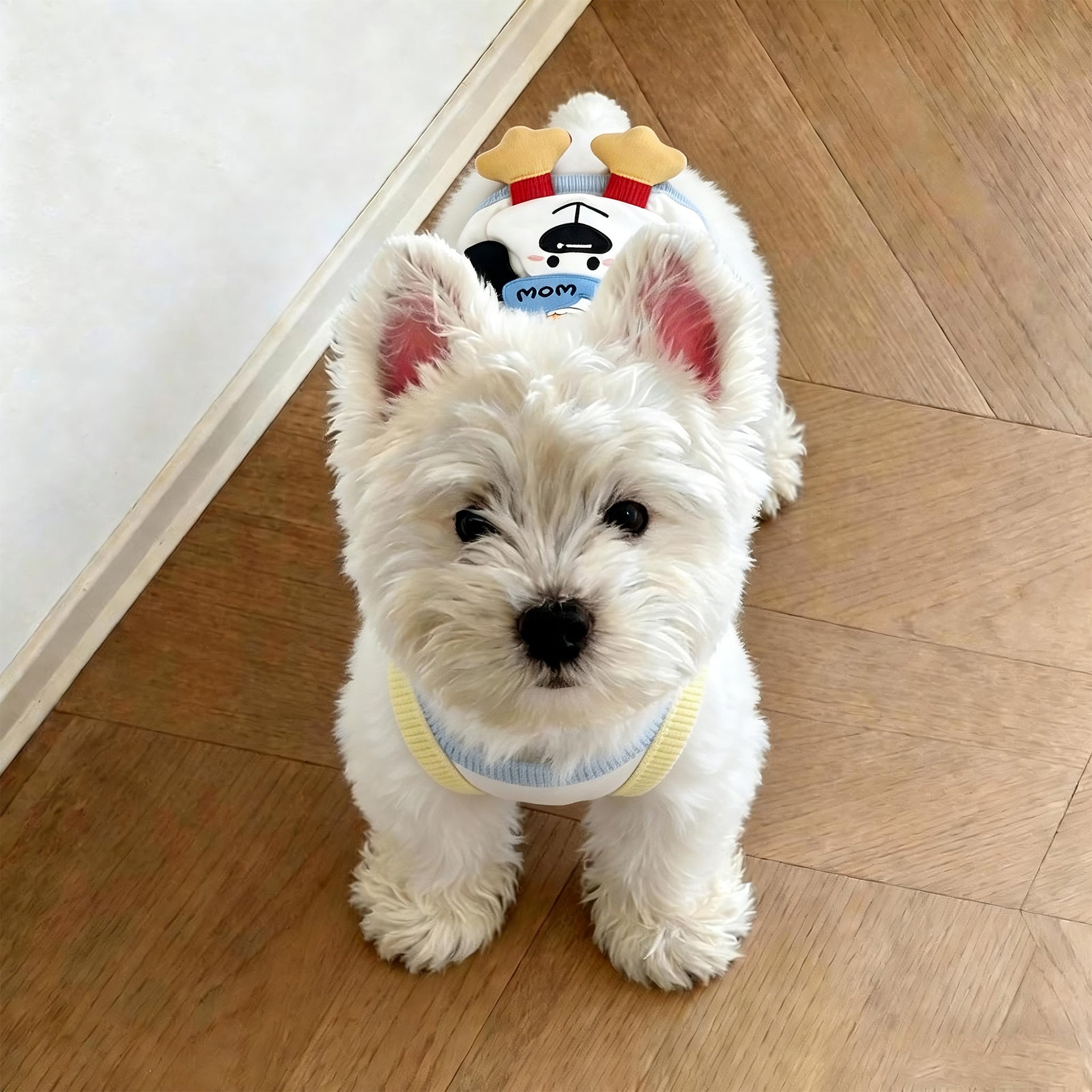White big face puppy print summer dog vest, in White Puppy Face, image 4