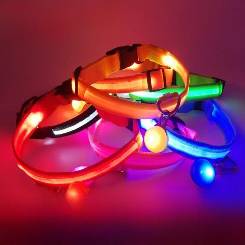 Light up LED dog collar glowing red with reflective strip