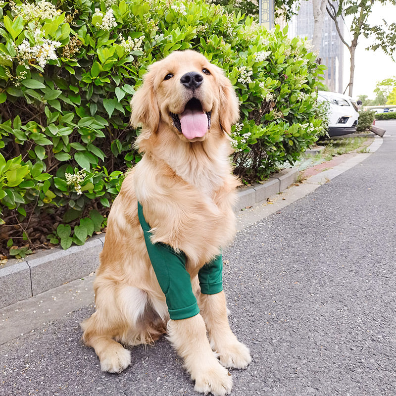 Breathable dog elbow sleeves in rainbow and owl prints