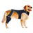 Adjustable Dog Hind Leg Protectors Vest Style