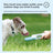 Dog water bottle