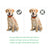 Dog Barking Stopper