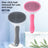 Pet Hair Removal Needle Comb and Fine-Tooth Flea Comb Set