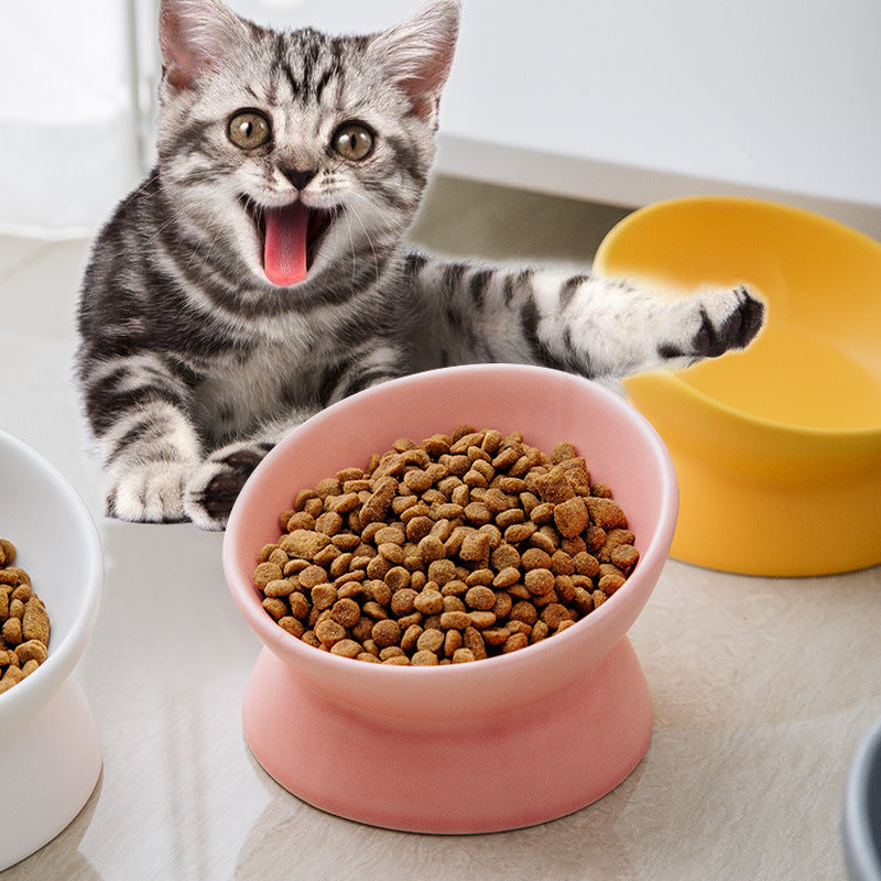 White raised ceramic pet bowl with tilted rim, photo 4