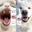 Dog Oral Spray for Fresh Breath, Plaque and Gum Care