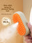 USB Rechargeable Steam Spray Comb for Massage and Deshedding