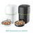 Pet feeder