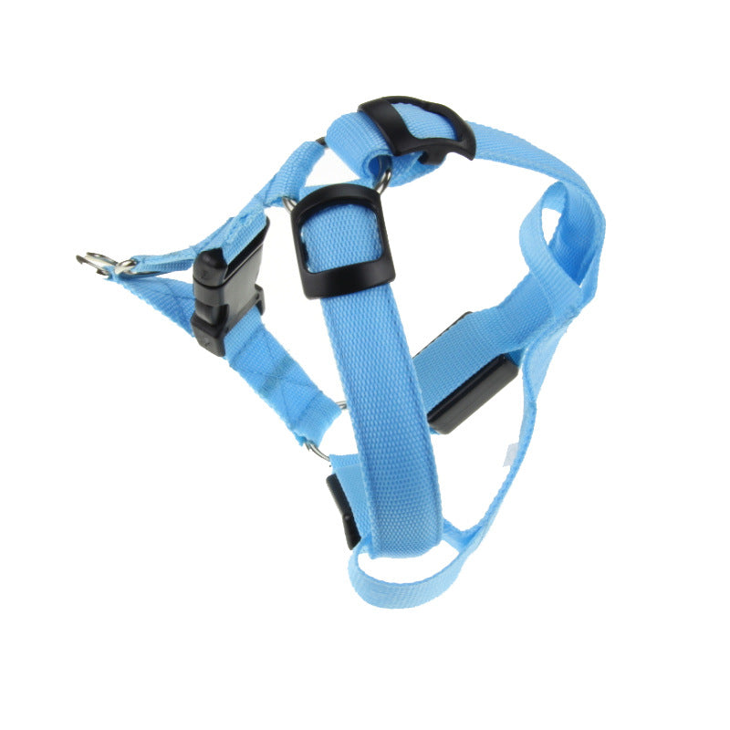 Rechargeable LED light up dog harness in Green, in a home setting