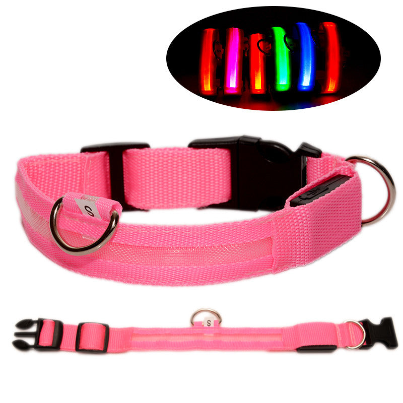 Rechargeable LED dog collars in eight glowing colours