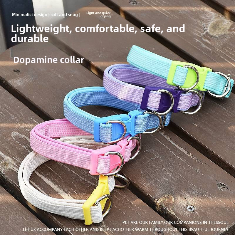Dog collar and lead in one, 2 sizes available